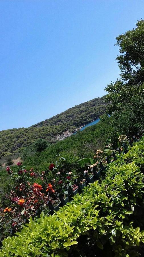 Hotel Marialena Epidaurus Exterior foto